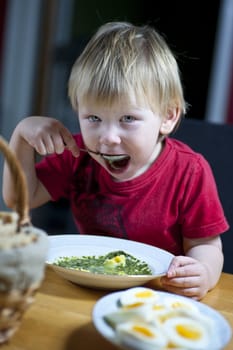 Young caucasian boy eating spinach soup with egg