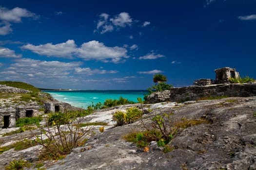 Ancient tulum ruins overlooking the stunning Mexican coast