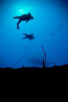 Scuba divers in Honduras descend onto a ship wreck