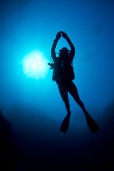 A Scuba diver enjoys the crystal clear waters of the Caribbean coast.