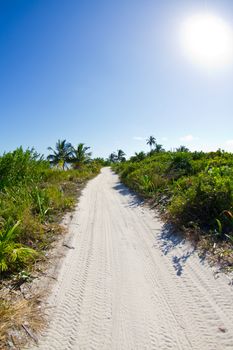 Beach highway on a tiny island in Belieze.