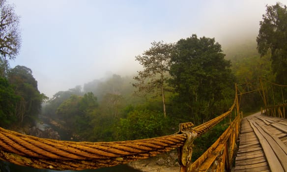 fog hangs over a rickety bridge in a low valley. Guatemala.