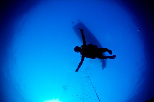 A Scuba diver descends into the blue.