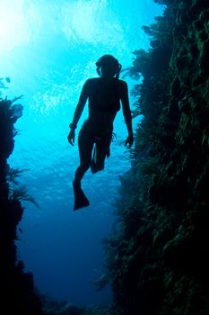 A freediver enjoys the crystal clear Caribbean waters.