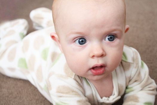 A close-up image of a baby playing on a brown carpet.