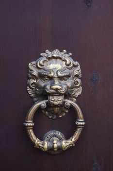 Ancient door knocker. Castle in Dubno. Ukraine