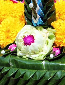lotus on banana leaf handmate for Loy Kratong festival, Thailand