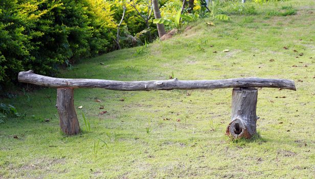 wood chair in the garden