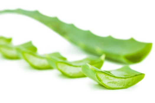 Closeup view of fresh succulent leaf of aloe