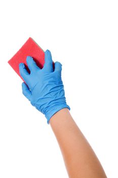 Hand in blue glove with sponge isolated on white background