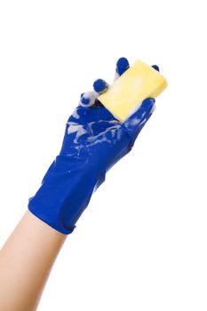 Hand with blue glove holding foam cleaning sponge; isolated on white