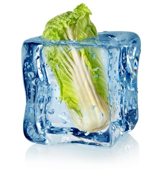 Ice cube and chinese cabbage isolated on a white background