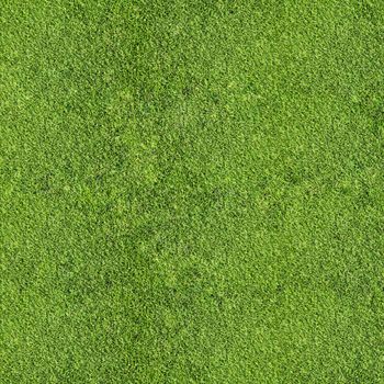 grass texture