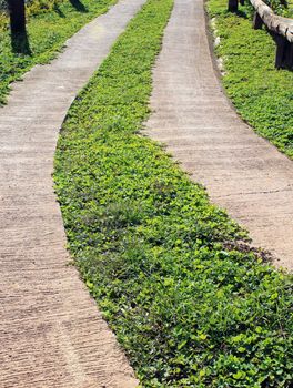 Paths through the park