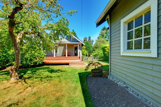 House and shed in the back yard with apple tree.