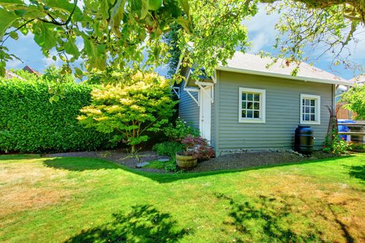 Small grey shed in the sunny summer green backyard.