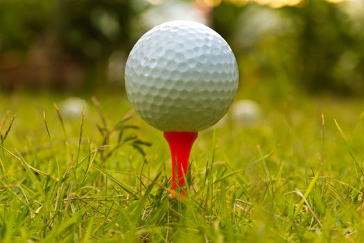 Golf ball on tee over a blurred green. Shallow depth of field. Focus on the ball.