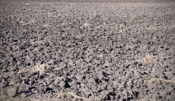 fertile, plowed soil of an agricultural field