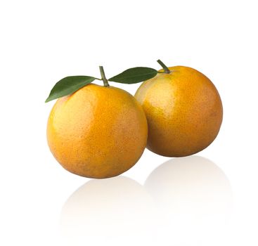 Orange fruit from nature isolated on white  