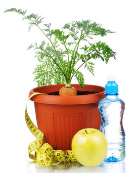 Fresh young carrot in plastic pot over a white background