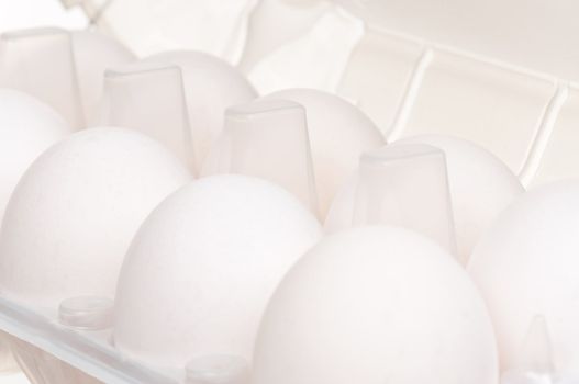 Close-up of white eggs in the plastic box