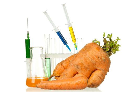 Genetically modified organism - ripe carrot with syringes and laboratory glassware on white background