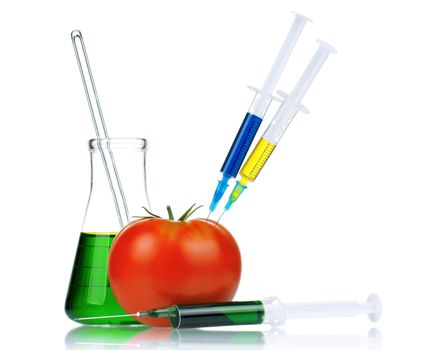 Genetically modified organism - ripe tomato with syringes and laboratory glassware on white background