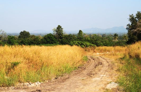 clay road at rural of Thailand