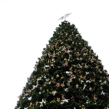 Christmas Tree and decorations. Over white background, outdoor