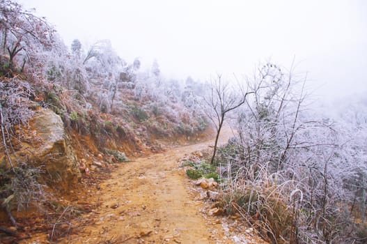 snow on rodadafter great snow at chinese south pro Guangdong