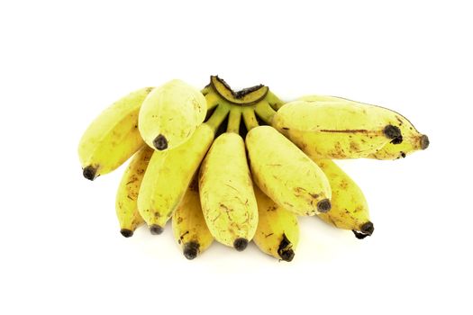 bunch of over ripe bananas on white background