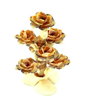 Shell flower decoration isolate on a white background
