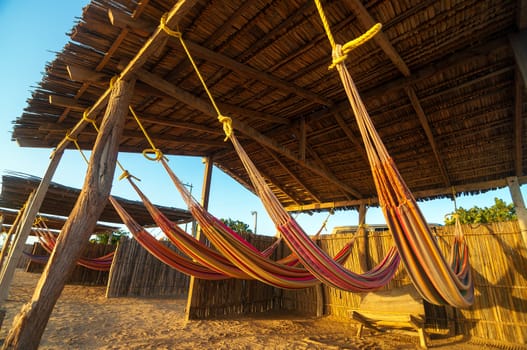 Colorful hammocks on a beach bathed in golden light