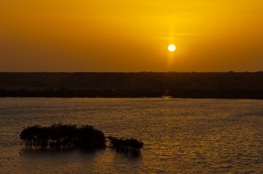 Sunrise in a bay with mangrove trees