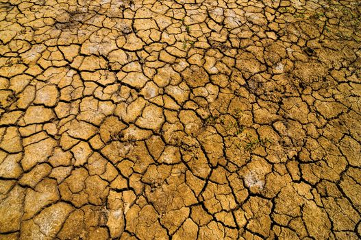 Cracked parched earth in a desert in La Guajira, Colombia