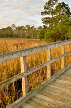 Wooden boardwalk over marsh and creek along the intercoastal area of Southeast Georgia