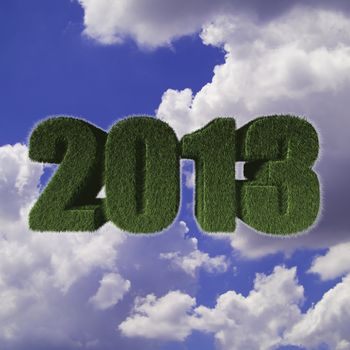 2013 New Year sign of green grass with blue sky. Eco concept for new year