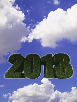 2013 New Year sign of green grass against the sky. Eco concept 