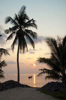 palm tree and boats at sunset on tropical island ko tao thailand