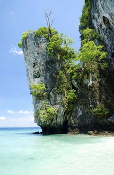 ko phi phi tropical island beach in thailand