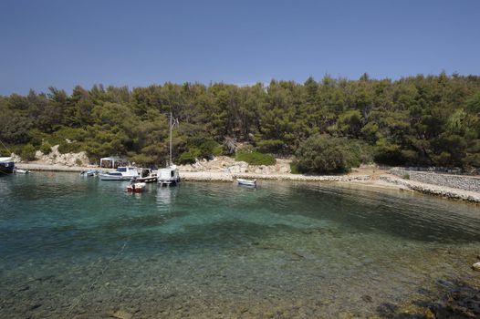 A beautiful sea landscape in the Krk park (Croatia)