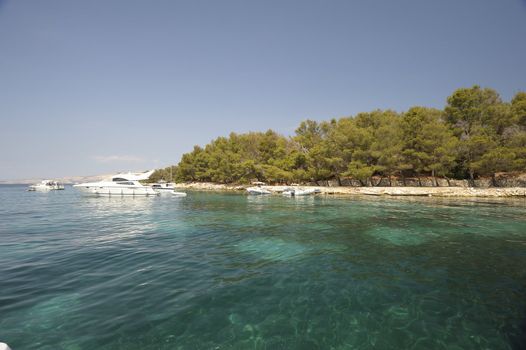 A beautiful sea landscape in the Krk park (Croatia)