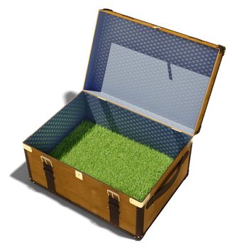 green grass meadow, as the contents of a vintage suitcase