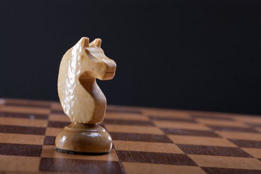 knight chess piece on the board and dark background