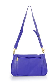 Elegant woman bag isolated on white