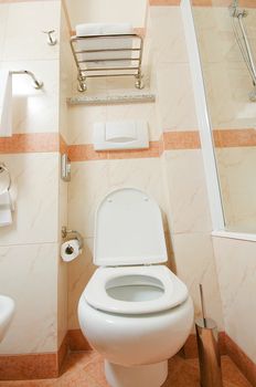 Toilet in the modern bathroom 