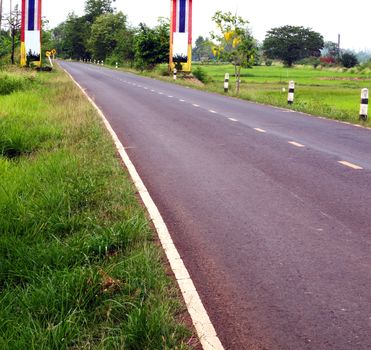 road between rice field in country side