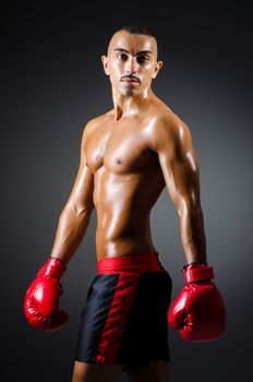 Muscular boxer in studio shooting