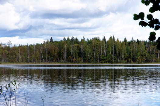 Lake and trees on a background of the blue sky