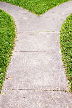 Fork in the pathway with grass